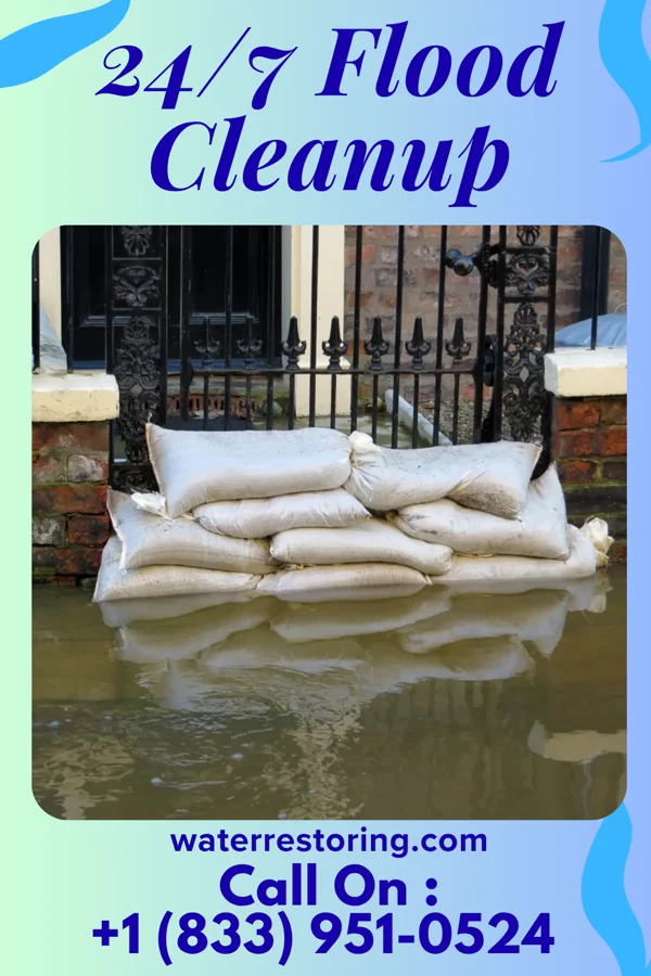 24/7 Flood Cleanup in Lyman, UT