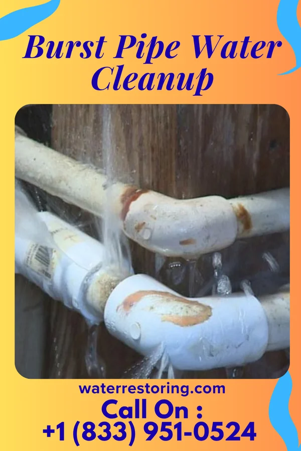 Burst Pipe Water Cleanup in Lyman, UT