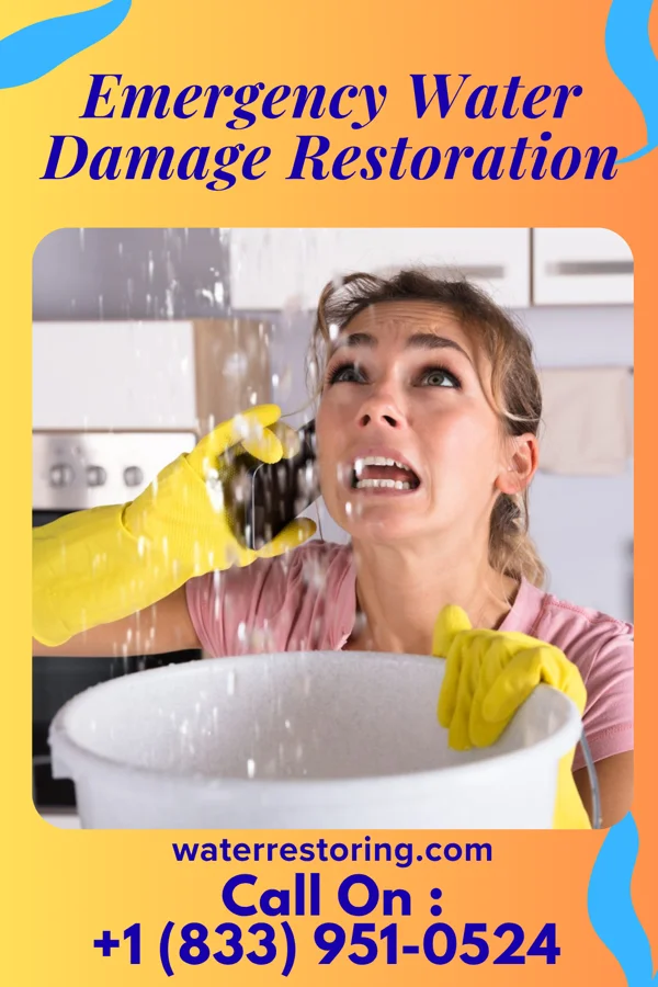 Emergency Water Damage Restoration in Lyman, UT