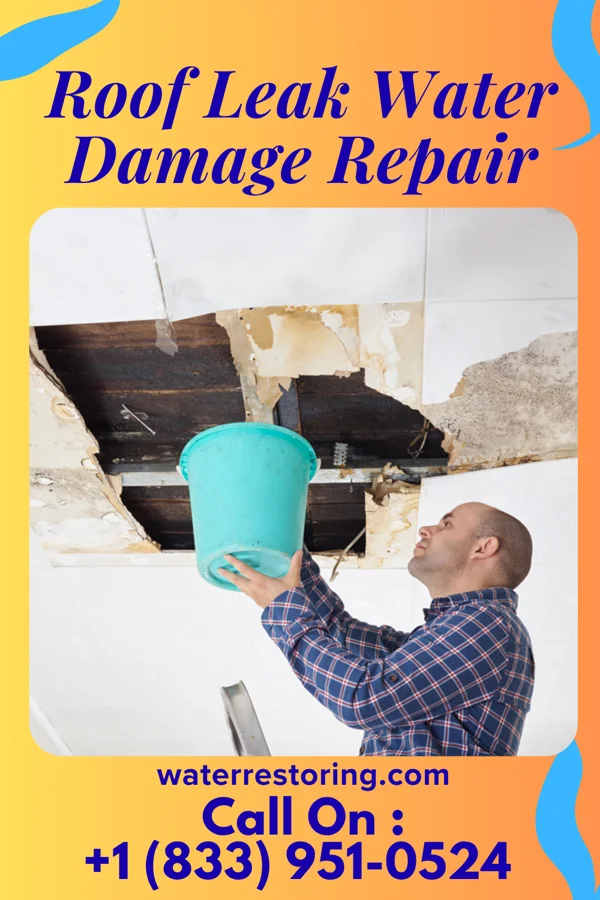 Roof Leak Water Damage Repair in Lyman, UT