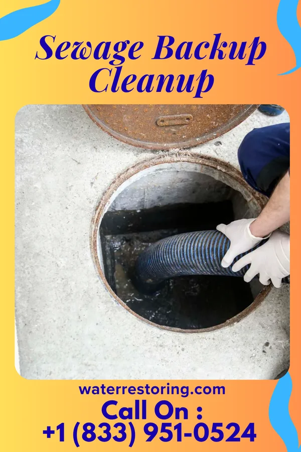 Sewage Backup Cleanup in Lyman, UT