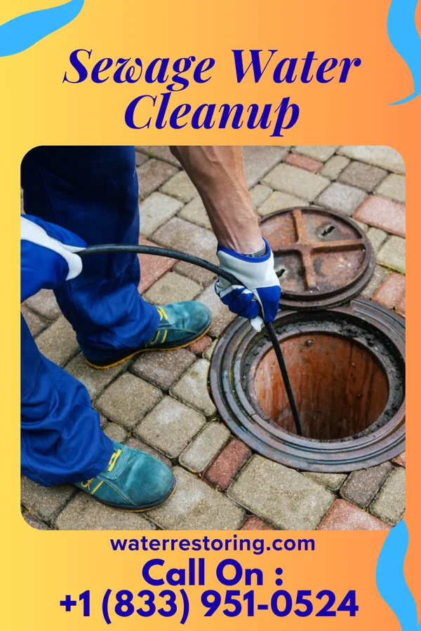 Sewage Water Cleanup in Lyman, UT